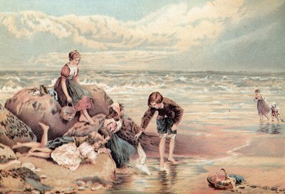 The Dead Sea-Bird by Myles Birket Foster